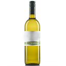 Sauvignon Blanc Kühbigl 2023 | Weingut Wallner