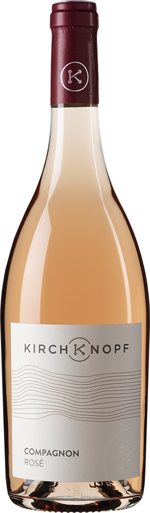 Rosé 2024 | Weingut Kirchknopf